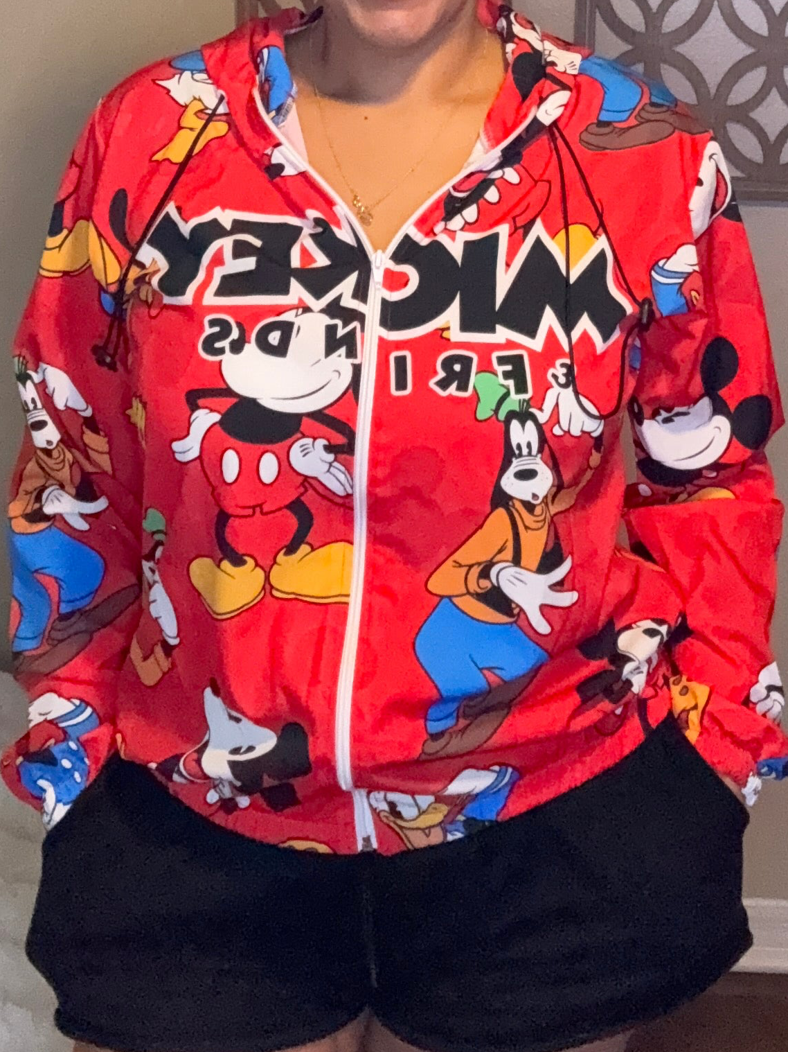 MICKEY & FRIENDS HOODIES