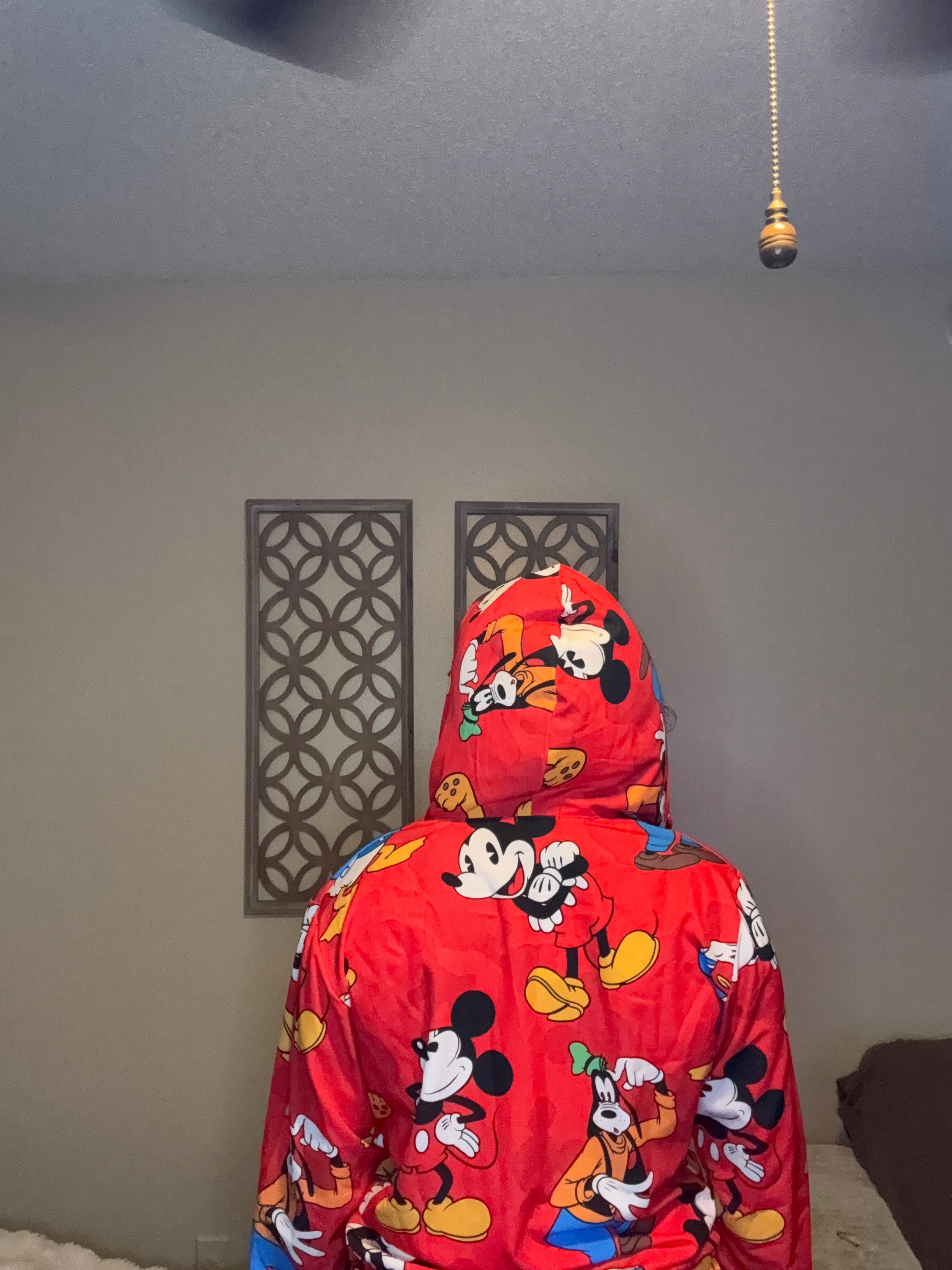 MICKEY & FRIENDS HOODIES