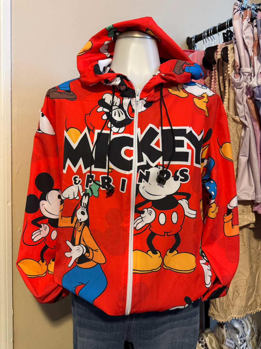 MICKEY & FRIENDS HOODIES