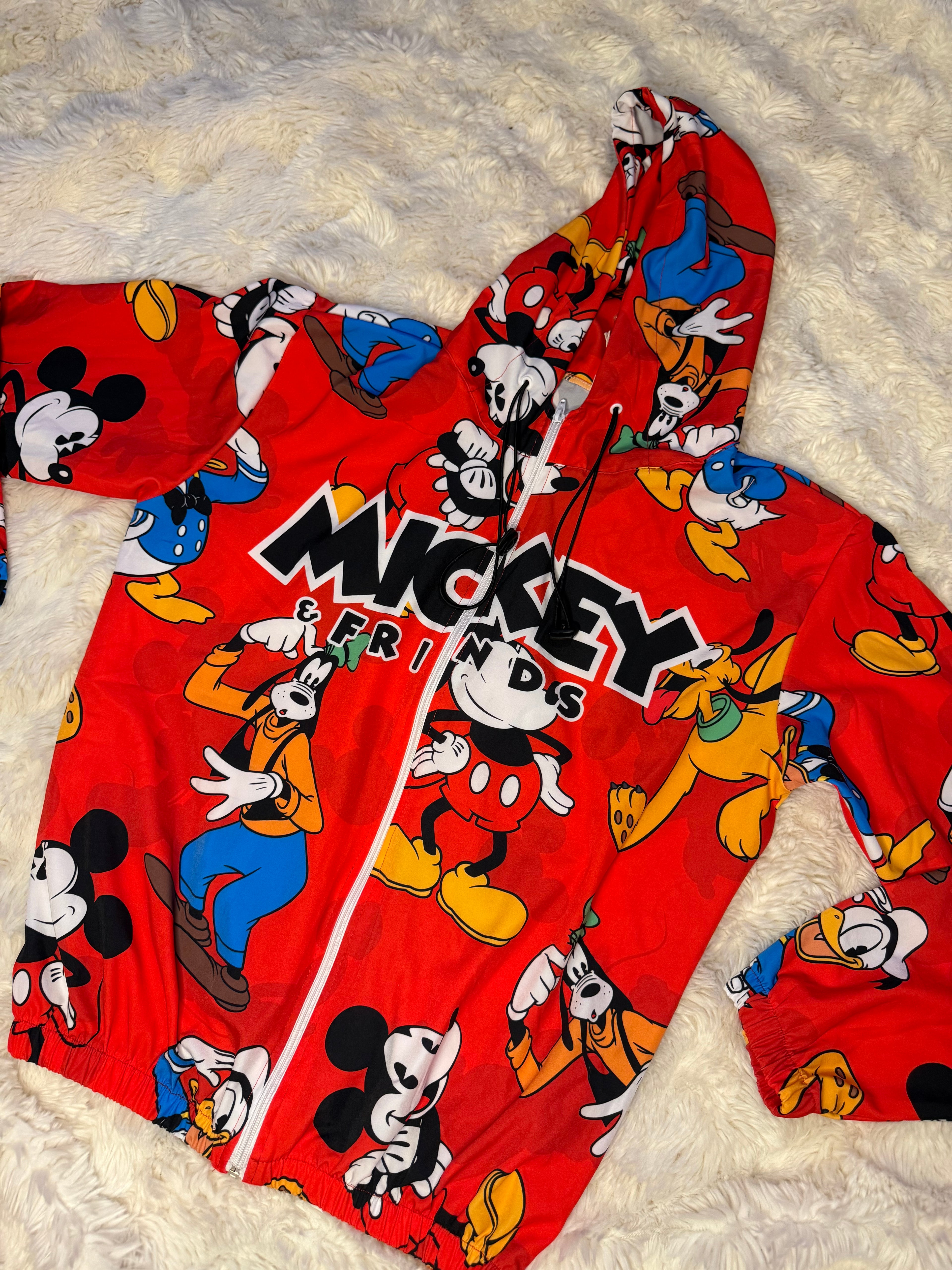 MICKEY & FRIENDS HOODIES
