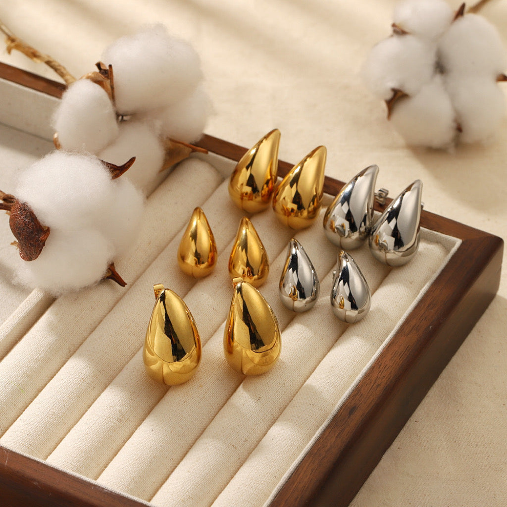 Teardrop Stainless Steel Earrings