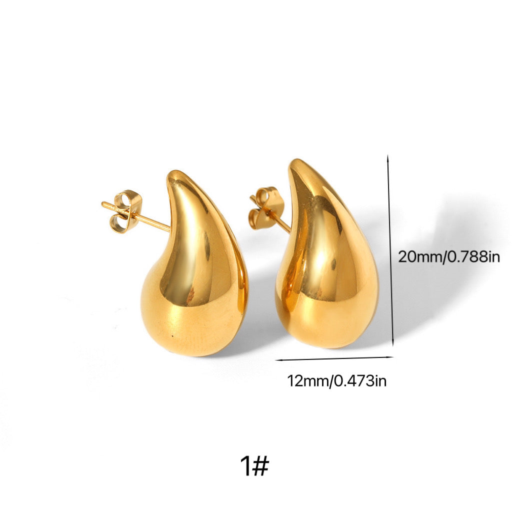Teardrop Stainless Steel Earrings