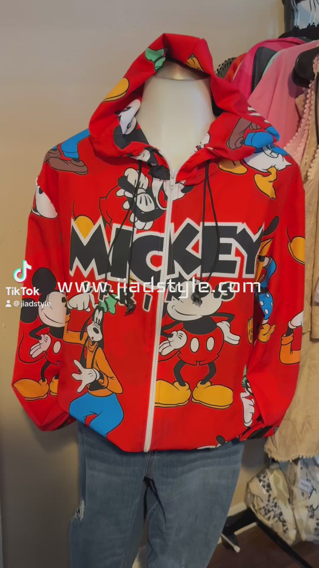 MICKEY & FRIENDS HOODIES